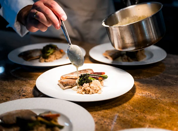 Pokrmy